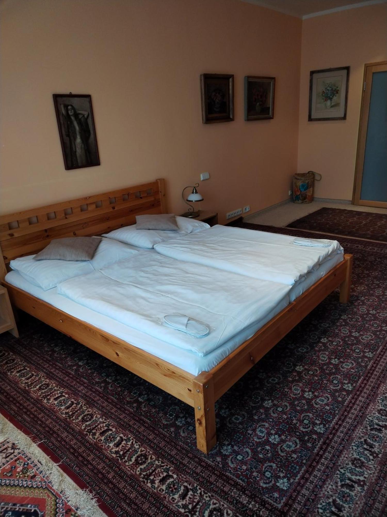 Kamil Apartments, Lux S, 131M2 Карлові Вари Екстер'єр фото